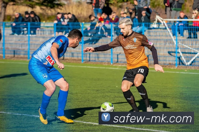 MK体育平台生态图